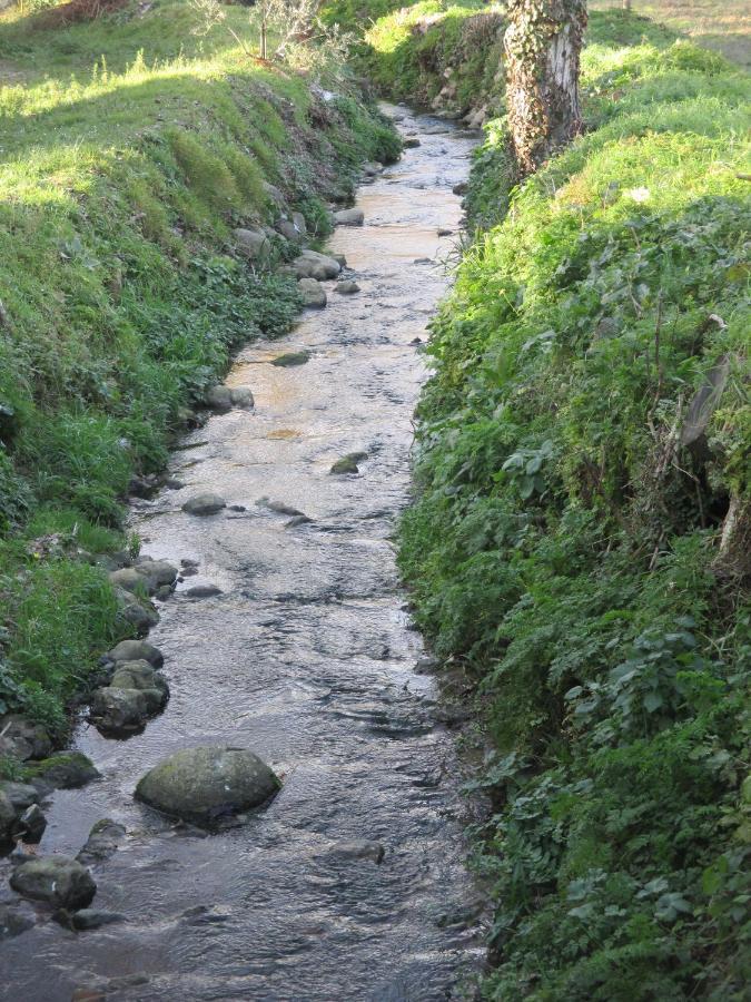 Podere Pian Dei Gelsi Volterra Exterior foto