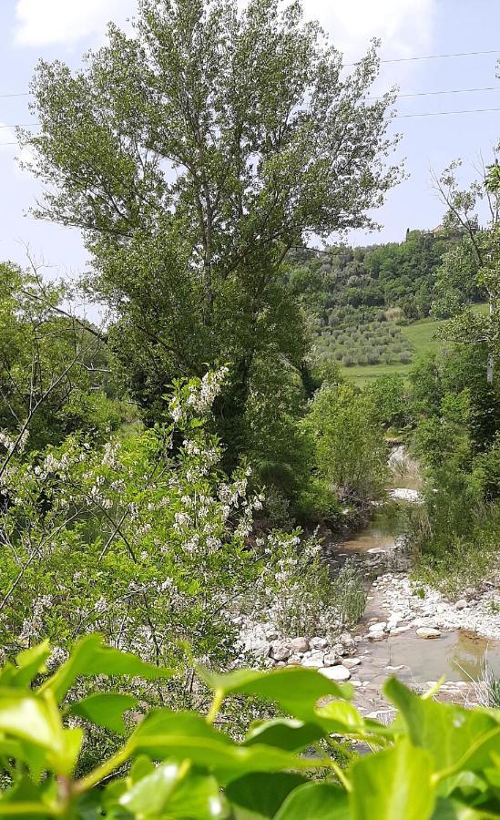 Podere Pian Dei Gelsi Volterra Exterior foto