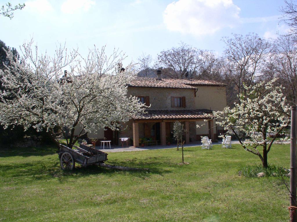Podere Pian Dei Gelsi Volterra Exterior foto