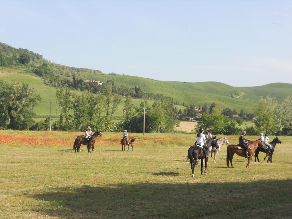 Podere Pian Dei Gelsi Volterra Exterior foto